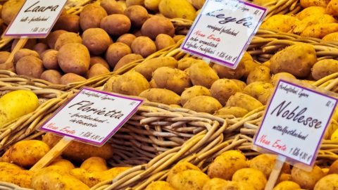 Patatas, mallas y precio