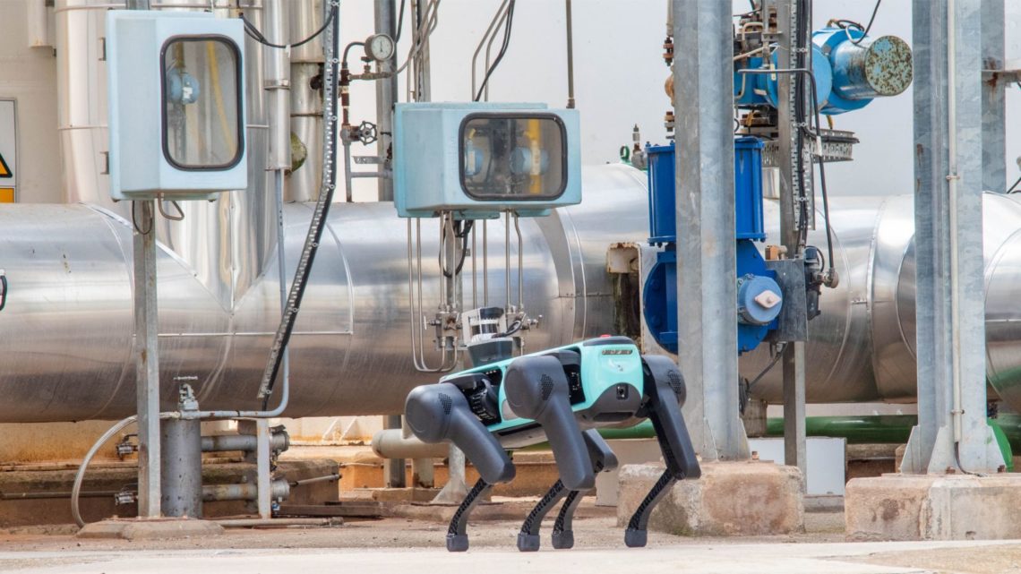 Una start-up española ha diseñado un perro-robot capaz de inspeccionar las instalaciones industriales y logísticas para detectar anomalías de manera autónoma.